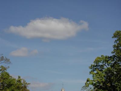 PA142271bgsky.jpg