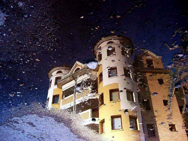 Reflection in Puddle