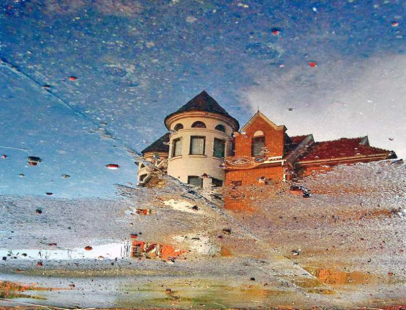 Reflection in Puddle