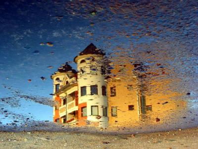 Reflection in Puddle