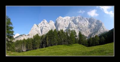 Triglav National Forest