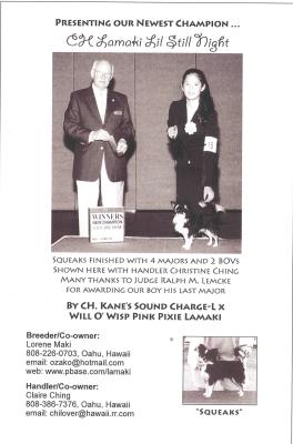v3/35/294935/3/50588032.squeaksadch.9052.jpg