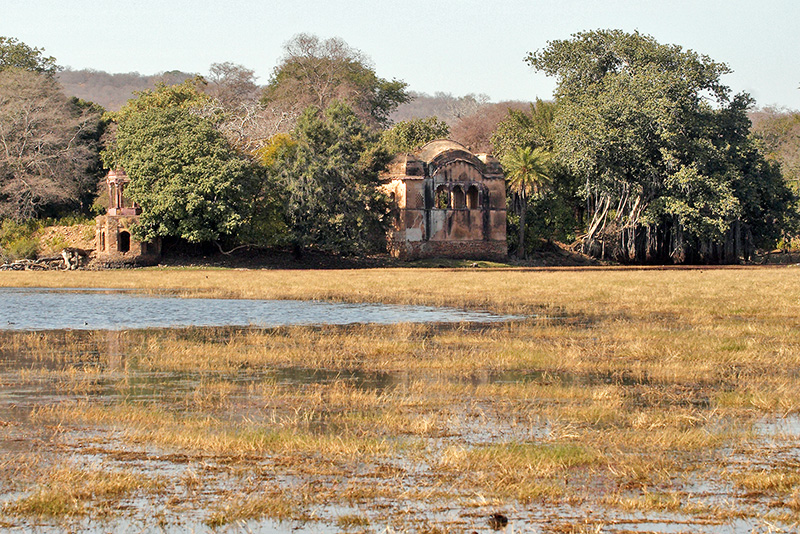 Old Hunting Lodge