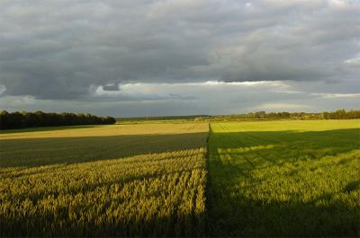 View of landscape Emmen