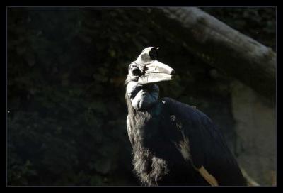 Zoologischer Garten Berlin