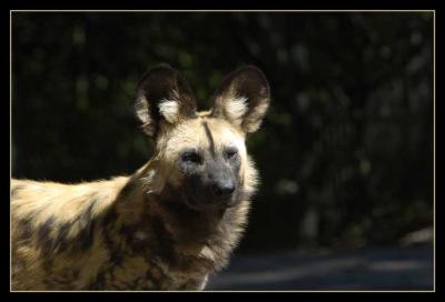 Zoologischer Garten Berlin