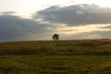 View of landscape Emmen