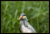 Zoologischer Garten Berlin