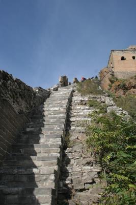 IMG_7951.JPG