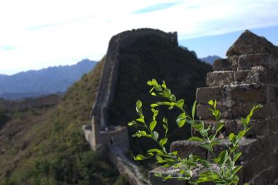 长城 The Great  Wall