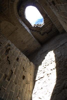 IMG_7994.jpg