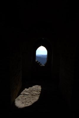 IMG_7995.jpg
