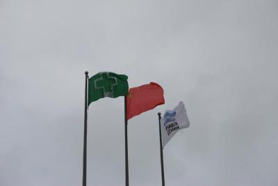 IMG_7551.jpg