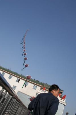 IMG_8205.jpg