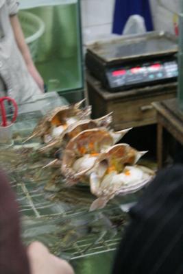 IMG_8213.jpg