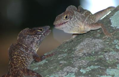 DSC_3665.jpg