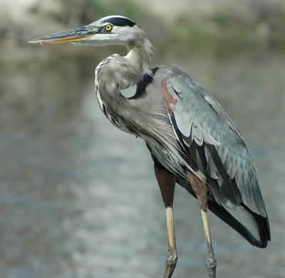 DSC_3903 sm.jpg