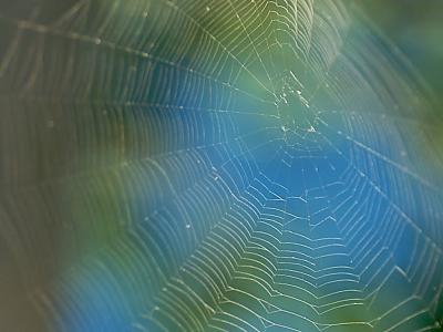 web.jpg