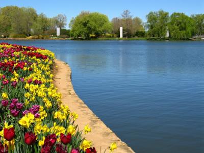 Floriade - Tulips