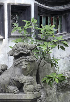Flora
