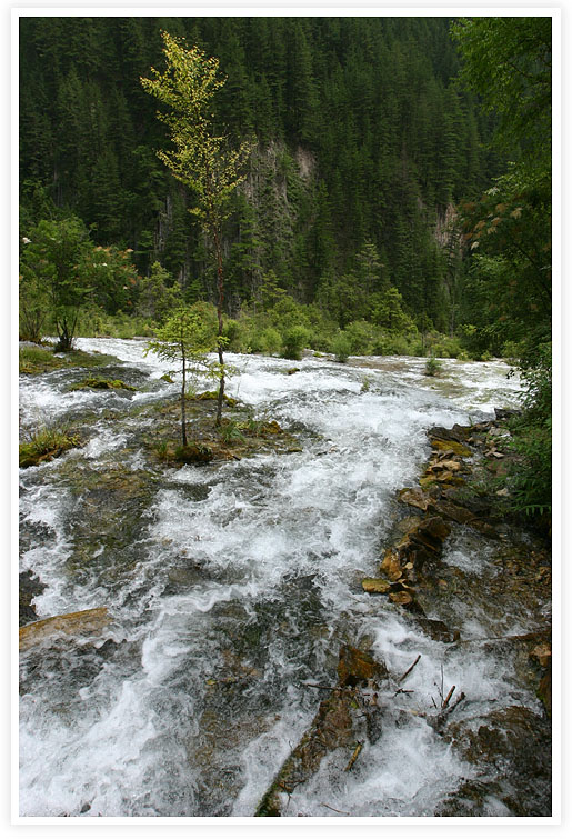 IMG_8110.jpg