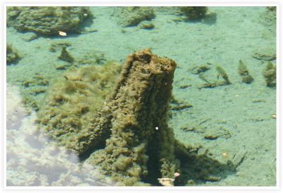 IMG_8057.jpg