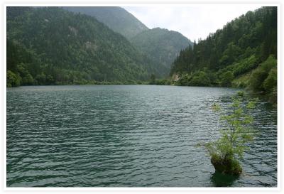 IMG_8086.jpg