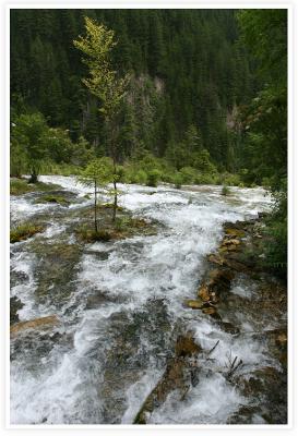 IMG_8110.jpg