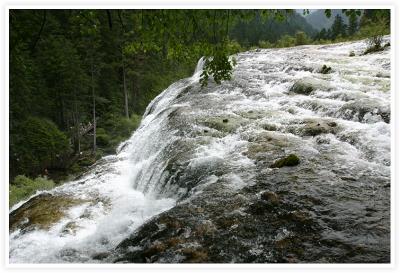 IMG_8139.jpg