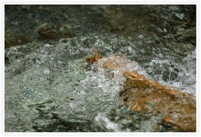 IMG_8185.jpg