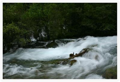 IMG_8212.jpg
