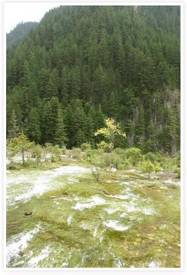 IMG_8136crw.jpg