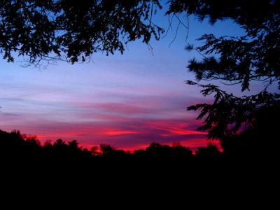 campton-sunset-5766.jpg