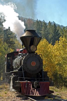 1880's Train - Monday