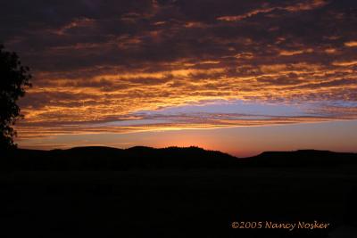 Custer State Park SD