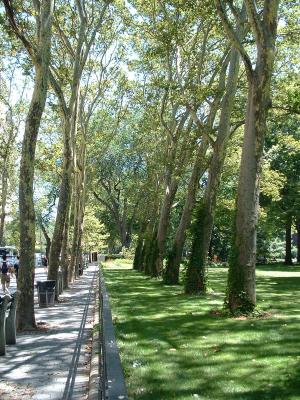Near Planitarium