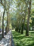 Near Planitarium