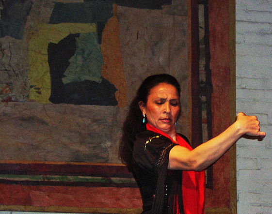 Flamenco Dancer *