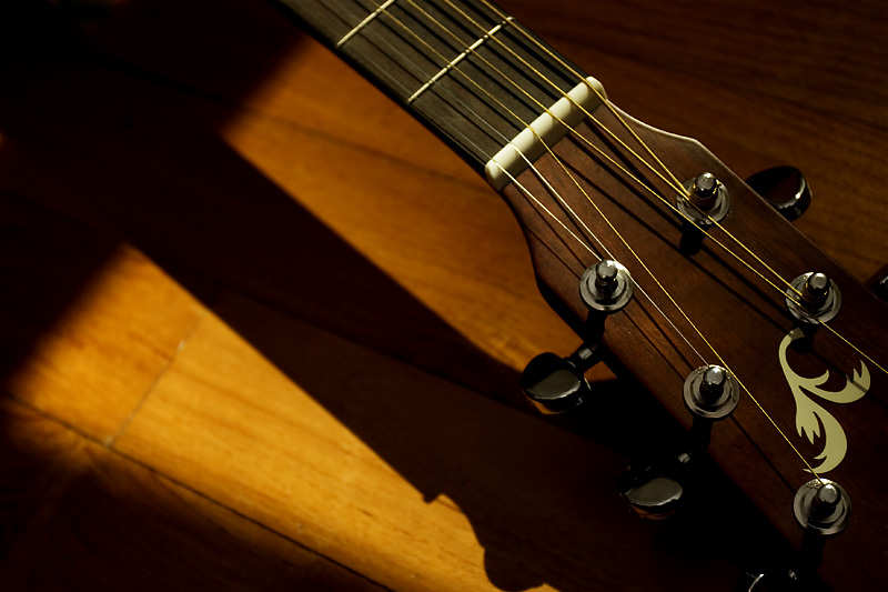 Guitar *