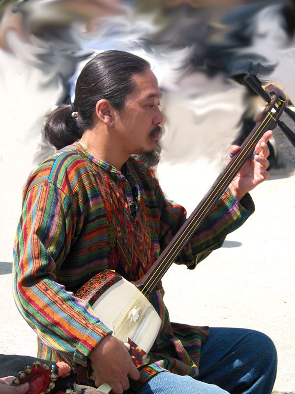 Castle Musician*