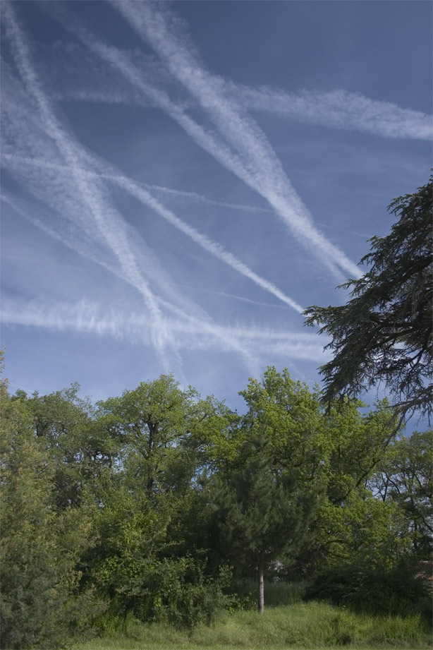 A Conspiracy Theory of Contrails *