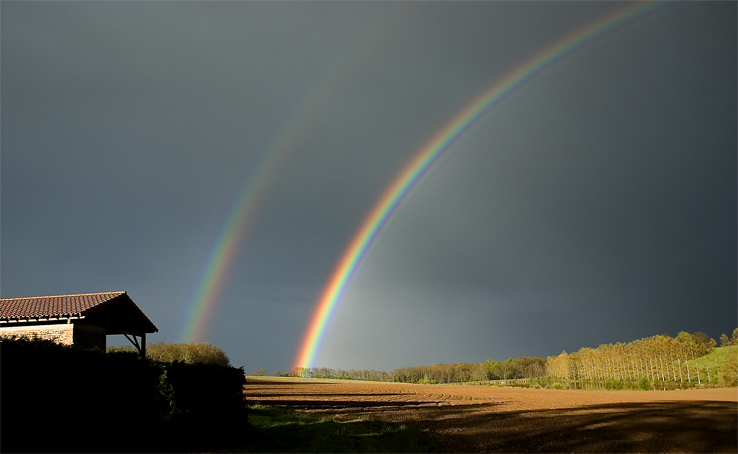 An Illumination of Rainbows *