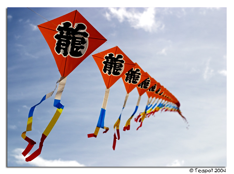 A Tail Of Kites *