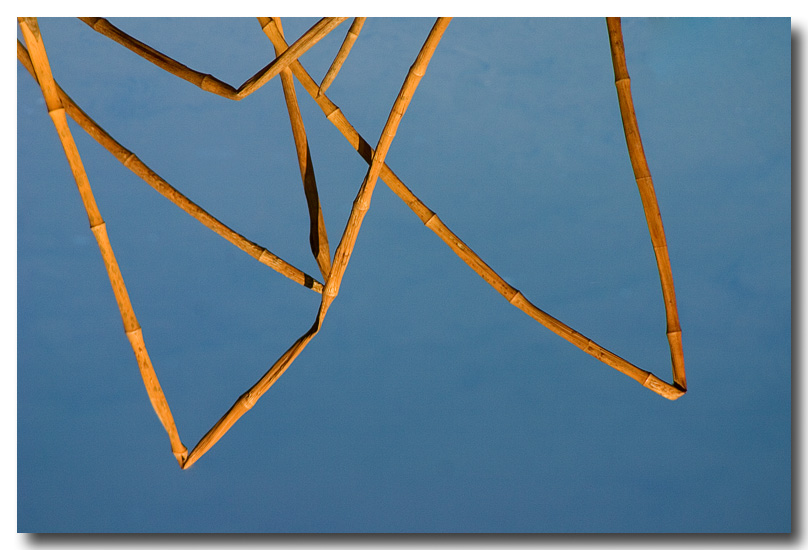 A Contemplation of Triangles *