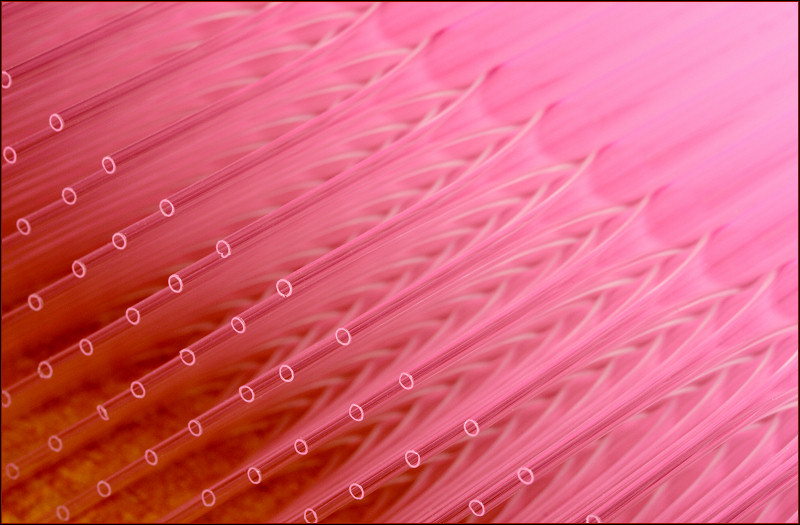 An Illumination of Pipettes *