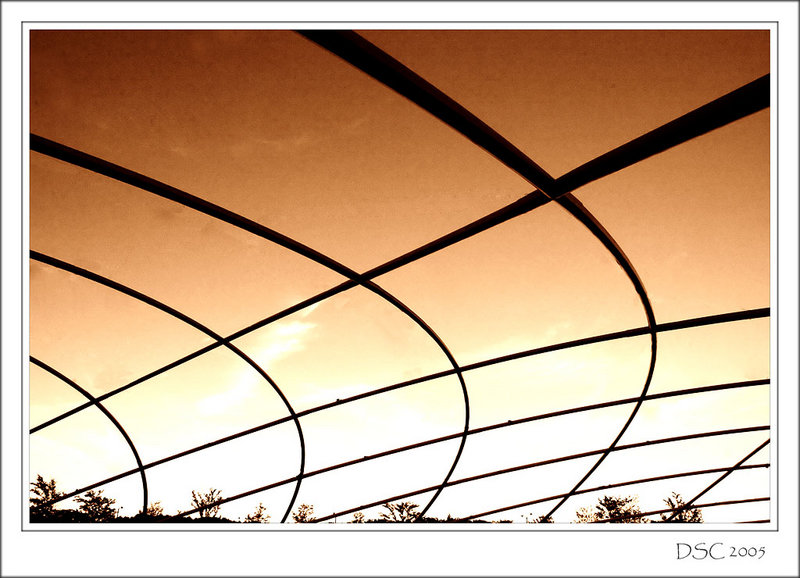 untitled *