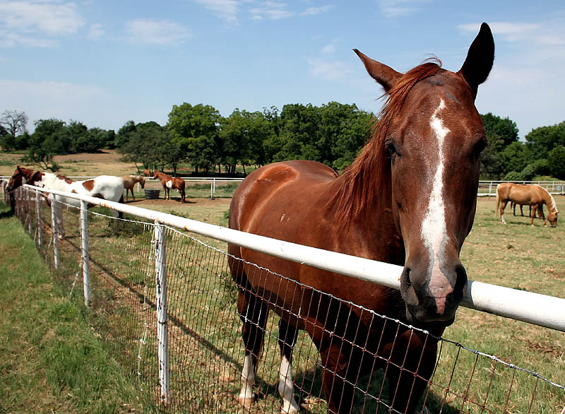 Home on the Range *