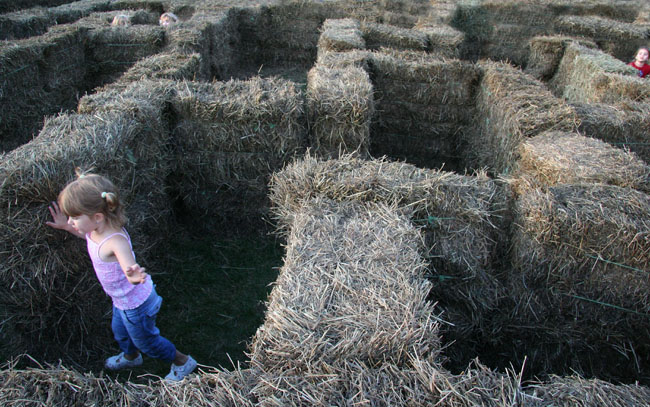 Hay Maze  *