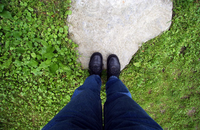 Head over Heels  *