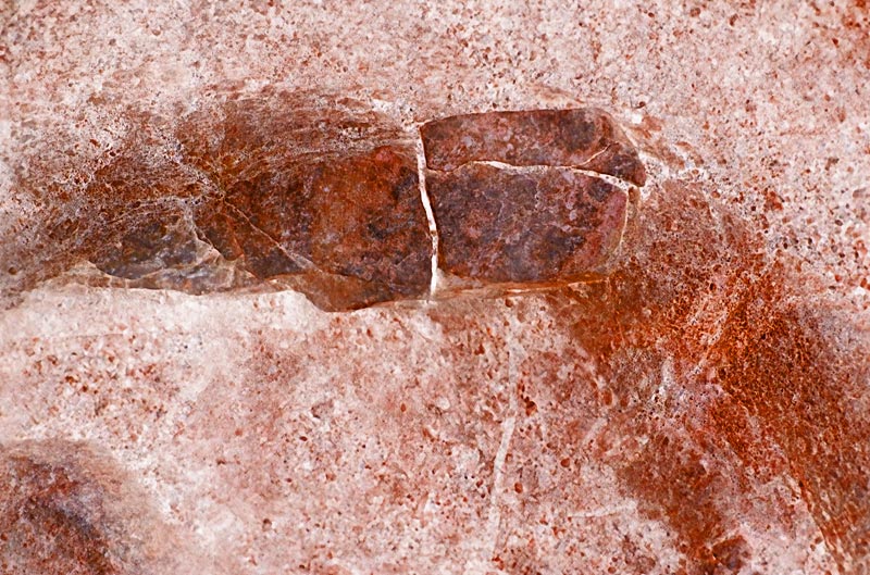 Granite and Clay II